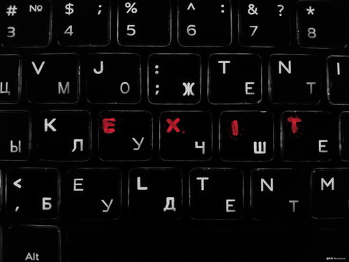 鍵盤 連接人與計算機的硬件橋梁